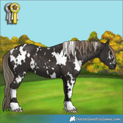 Horse Color:White Spotted Liver Chestnut 