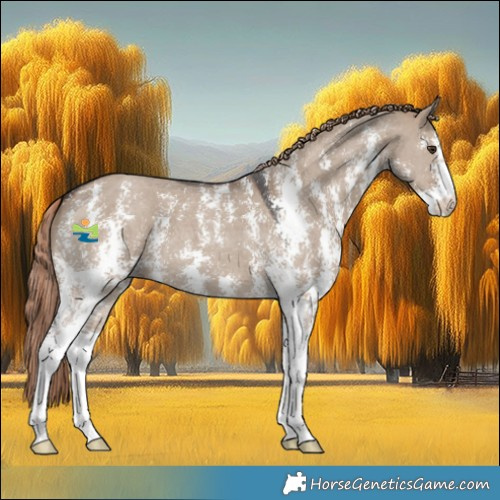 Horse Color:Liver Red Dun Sabino 