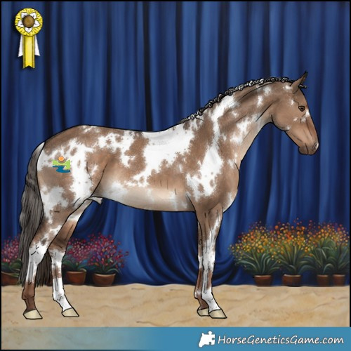 Horse Color:White Spotted Liver Red Dun 