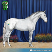 Horse Color:Watercolor Silver Smoky Blue Roan Sabino Appaloosa