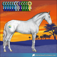 Horse Color:Watercolor Silver Smoky Blue Roan Sabino Varnish 