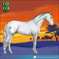 Horse Color:Watercolor Silver Smoky Blue Roan Sabino Appaloosa