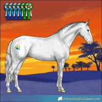 Horse Color:Watercolor Silver Smoky Blue Roan Sabino Appaloosa 