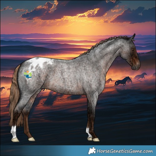 Horse Color:Gray Liver Red Ice Roan Appaloosa