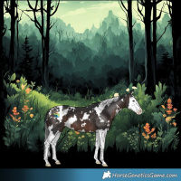 Horse Color:White Spotted Brown Splash 
