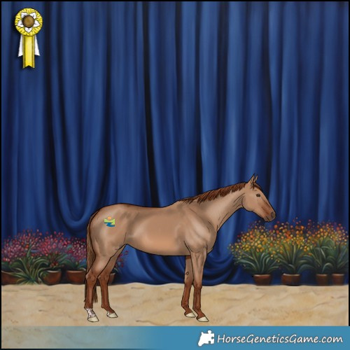 Horse Color:Red Dun 