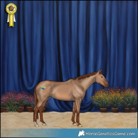 Horse Color:Red Dun 