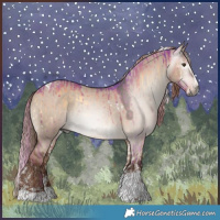 Horse Color:Gray Watercolor Liver Red Dun Onyx Splash Tobiano Rabicano Brindle  and Liver Red Dun Sabino Splash Tobiano Appaloosa Rabicano 