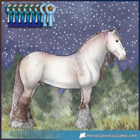 Horse Color:Gray Watercolor Liver Red Dun Onyx Splash Tobiano Rabicano Brindle  and Liver Red Dun Sabino Splash Tobiano Varnish Rabicano 