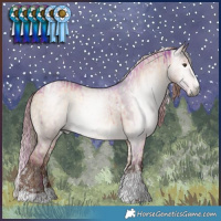 Horse Color:Gray Watercolor Liver Red Dun Onyx Splash Tobiano Rabicano Brindle  and Liver Red Dun Sabino Splash Tobiano Appaloosa Rabicano 