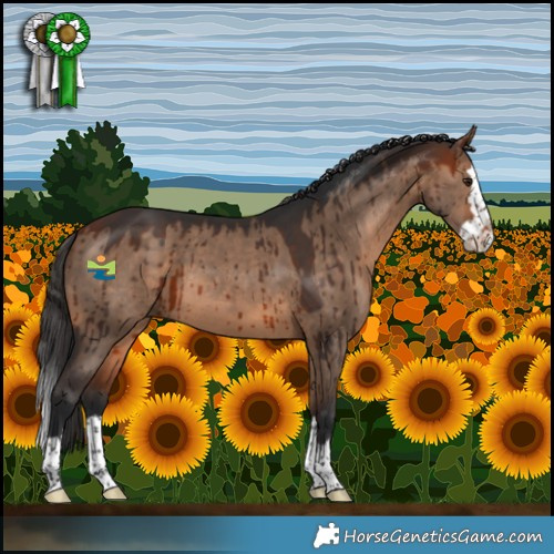 Horse Color:Bay Dun Splash Brindle 