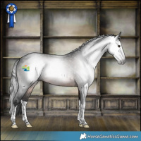 Horse Color:Gray Brown Splash