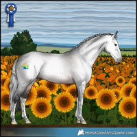 Horse Color:Gray Brown Splash 