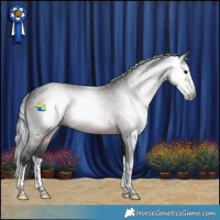 Horse Color:Gray Brown Splash 
