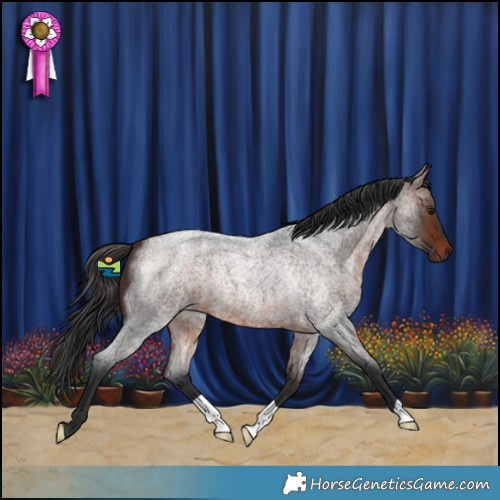 Horse Color:Brown Roan