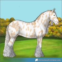 Horse Color:White Spotted Chocolate Palomino Dun Splash Snowflake Varnish  and White Spotted Gold Cream Champagne Dun Splash Near Leopard 