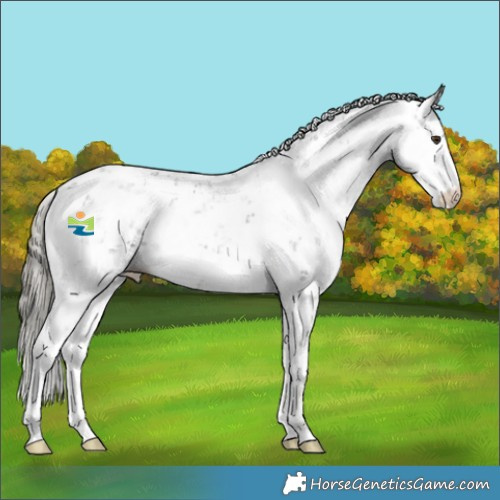 Horse Color:Liver Chestnut Mushroom Sabino 