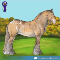 Horse Color:Palomino Dun Splash Rabicano Brindle  and Chocolate Palomino Dun Blanket Brindle 