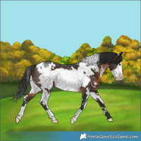 Horse Color:White Spotted Brown Frame 