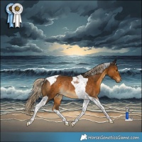 Horse Color:Chocolate Palomino Tobiano Rabicano