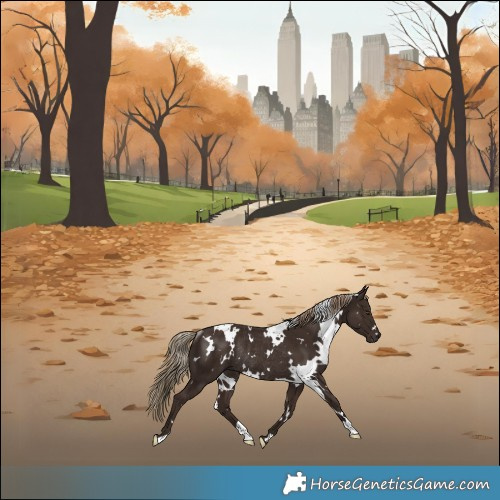 Horse Color:White Spotted Liver Chestnut Rabicano 