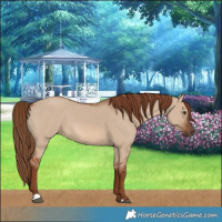 Horse Color:Red Dun 