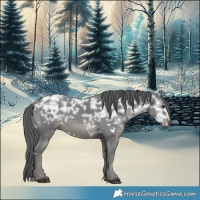 Horse Color:White Spotted Black Ice Merle Rabicano 