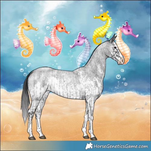 Horse Color:Blue Roan Sabino Splash and Blue Roan Sabino Splash