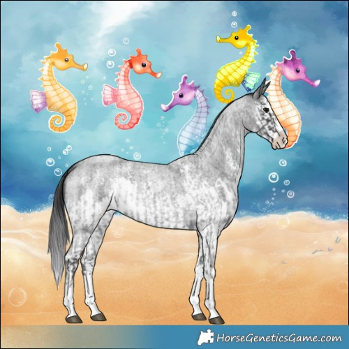 Horse Color:Blue Roan Sabino Splash  and Blue Roan Sabino Splash 
