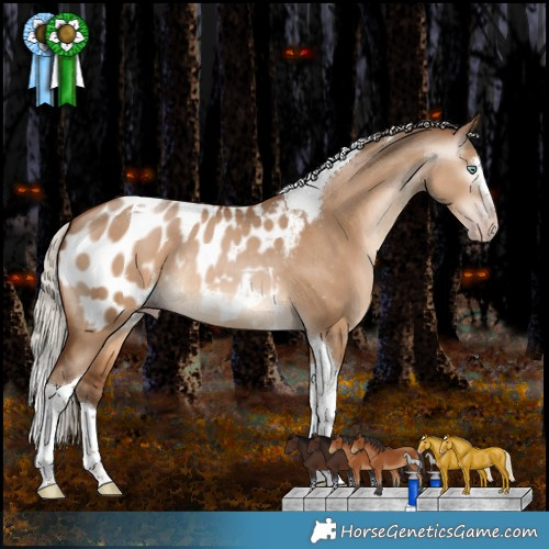 Horse Color:Gray Silver Amber Champagne Dun Splash Tobiano Appaloosa Rabicano