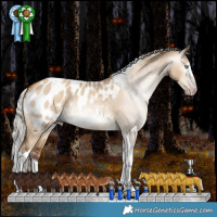 Horse Color:Gray Silver Amber Champagne Dun Splash Tobiano Appaloosa Rabicano 