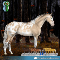 Horse Color:Gray Silver Amber Champagne Dun Splash Tobiano Appaloosa Rabicano 