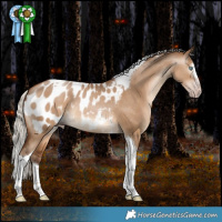 Horse Color:Gray Silver Amber Champagne Dun Splash Tobiano Appaloosa Rabicano 