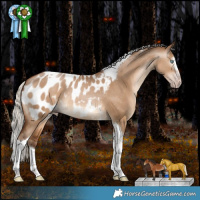 Horse Color:Gray Silver Amber Champagne Dun Splash Tobiano Appaloosa Rabicano 