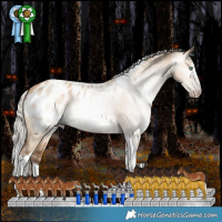 Horse Color:Gray Silver Amber Champagne Dun Splash Tobiano Appaloosa Rabicano 