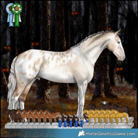 Horse Color:Gray Silver Amber Champagne Dun Splash Tobiano Appaloosa Rabicano 