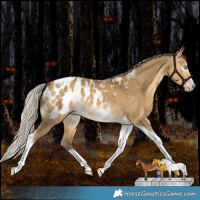 Horse Color:Gray Silver Amber Cream Champagne Dun Splash Tobiano Frame Appaloosa Rabicano