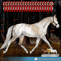 Horse Color:Gray Silver Amber Cream Champagne Dun Splash Tobiano Frame Appaloosa Rabicano 