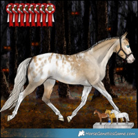 Horse Color:Gray Silver Amber Cream Champagne Dun Splash Tobiano Frame Appaloosa Rabicano 