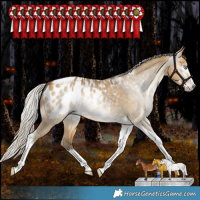 Horse Color:Gray Silver Amber Cream Champagne Dun Splash Tobiano Frame Appaloosa Rabicano 