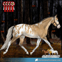 Horse Color:Gray Silver Amber Cream Champagne Dun Splash Tobiano Frame Appaloosa Rabicano 