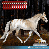 Horse Color:Gray Silver Amber Cream Champagne Dun Splash Tobiano Frame Appaloosa Rabicano