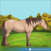 Horse Color:Amber Champagne 