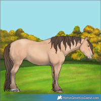 Horse Color:Amber Champagne