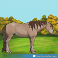 Horse Color:Classic Champagne 