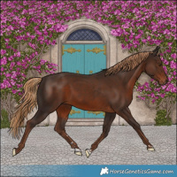 Horse Color:Liver Chestnut Rabicano 