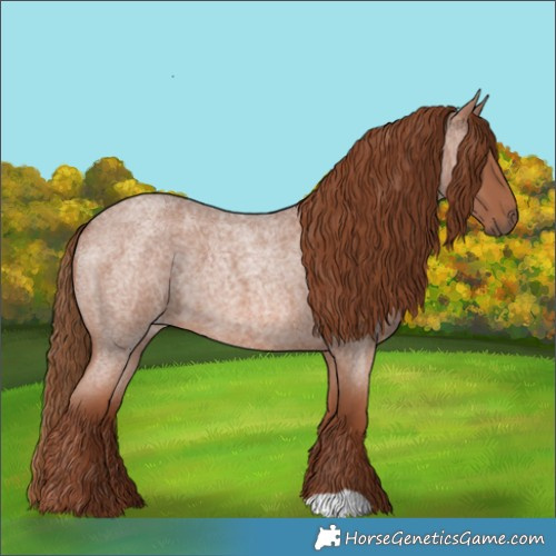 Horse Color:Red Roan 