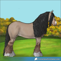 Horse Color:Liver Red Dun Rabicano 