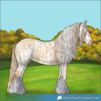 Horse Color:White Spotted Red Dun Rabicano  and White Spotted Chestnut Rabicano 