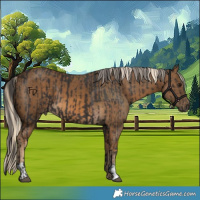 Horse Color:Smoky Black and Chocolate Palomino